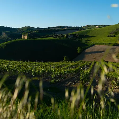 Podere Sorrentino خيمة فخمة أوفيدا