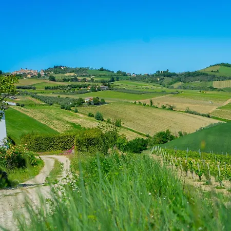 Podere Sorrentino