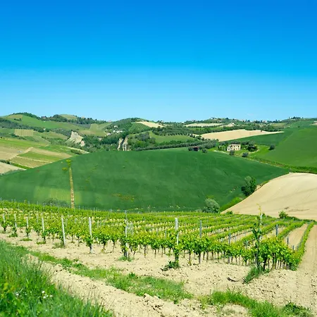 Podere Sorrentino خيمة فخمة